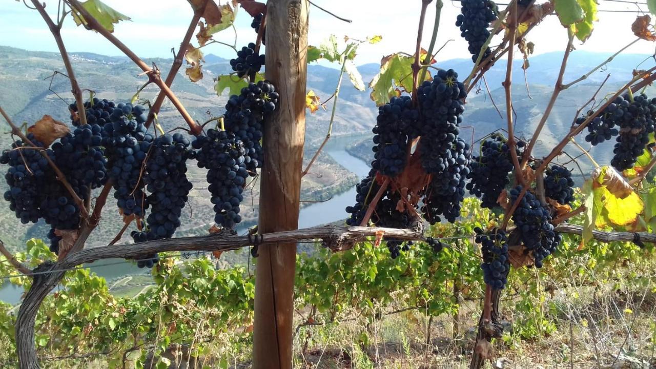 Stay At The Winemaker Ervedosa do Douro Εξωτερικό φωτογραφία