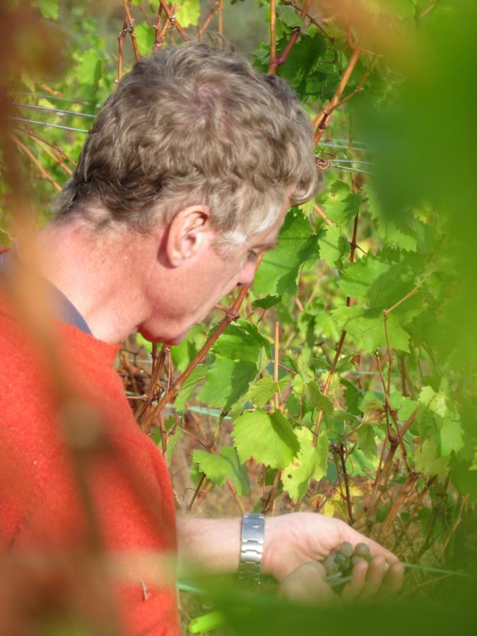 Stay At The Winemaker Ervedosa do Douro Εξωτερικό φωτογραφία