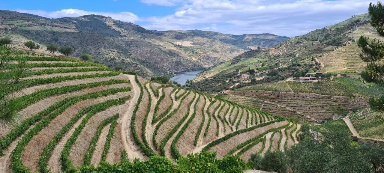 Stay At The Winemaker Ervedosa do Douro Εξωτερικό φωτογραφία