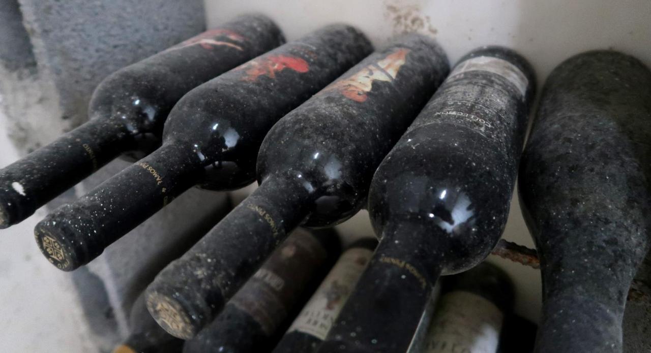 Stay At The Winemaker Ervedosa do Douro Εξωτερικό φωτογραφία