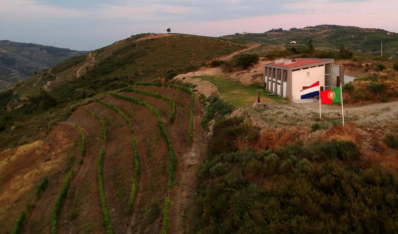 Stay At The Winemaker Ervedosa do Douro Εξωτερικό φωτογραφία