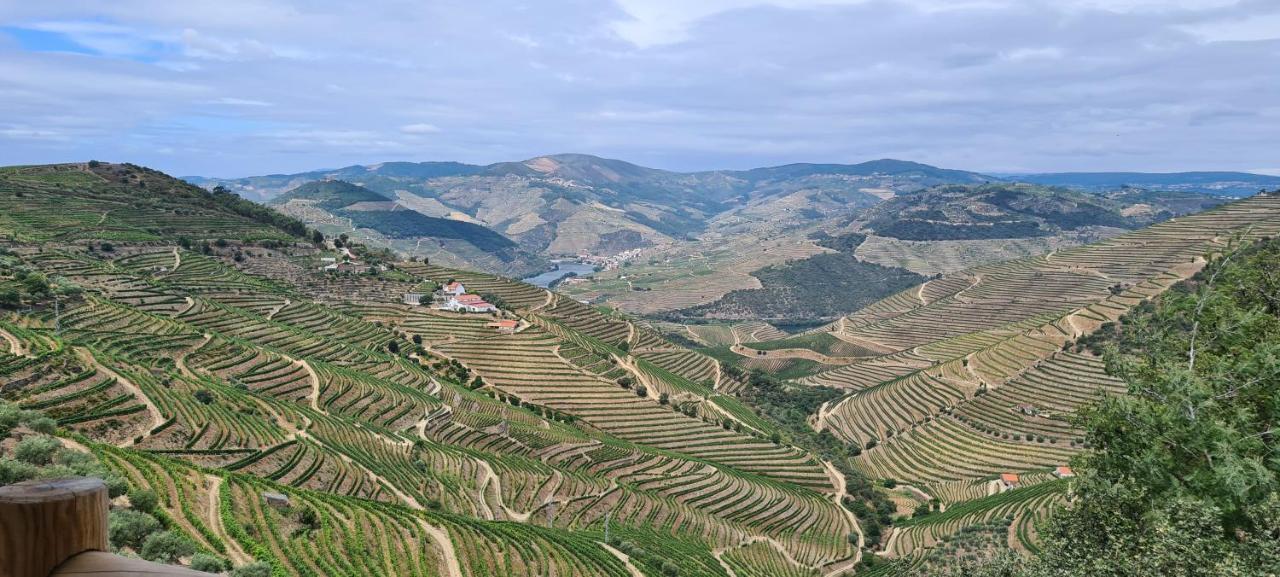 Stay At The Winemaker Ervedosa do Douro Εξωτερικό φωτογραφία