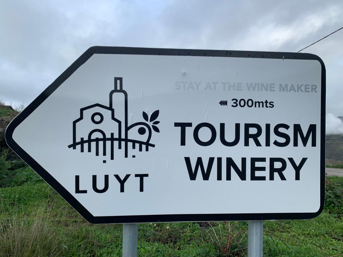 Stay At The Winemaker Ervedosa do Douro Εξωτερικό φωτογραφία