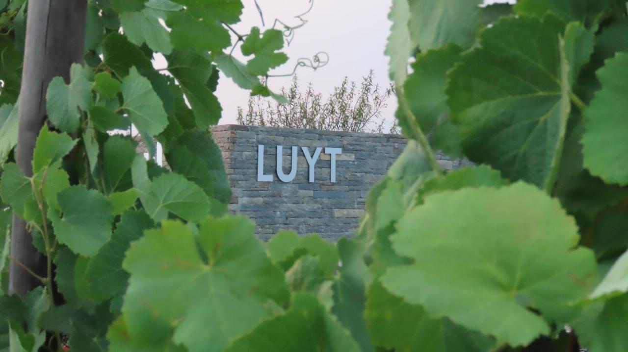 Stay At The Winemaker Ervedosa do Douro Εξωτερικό φωτογραφία